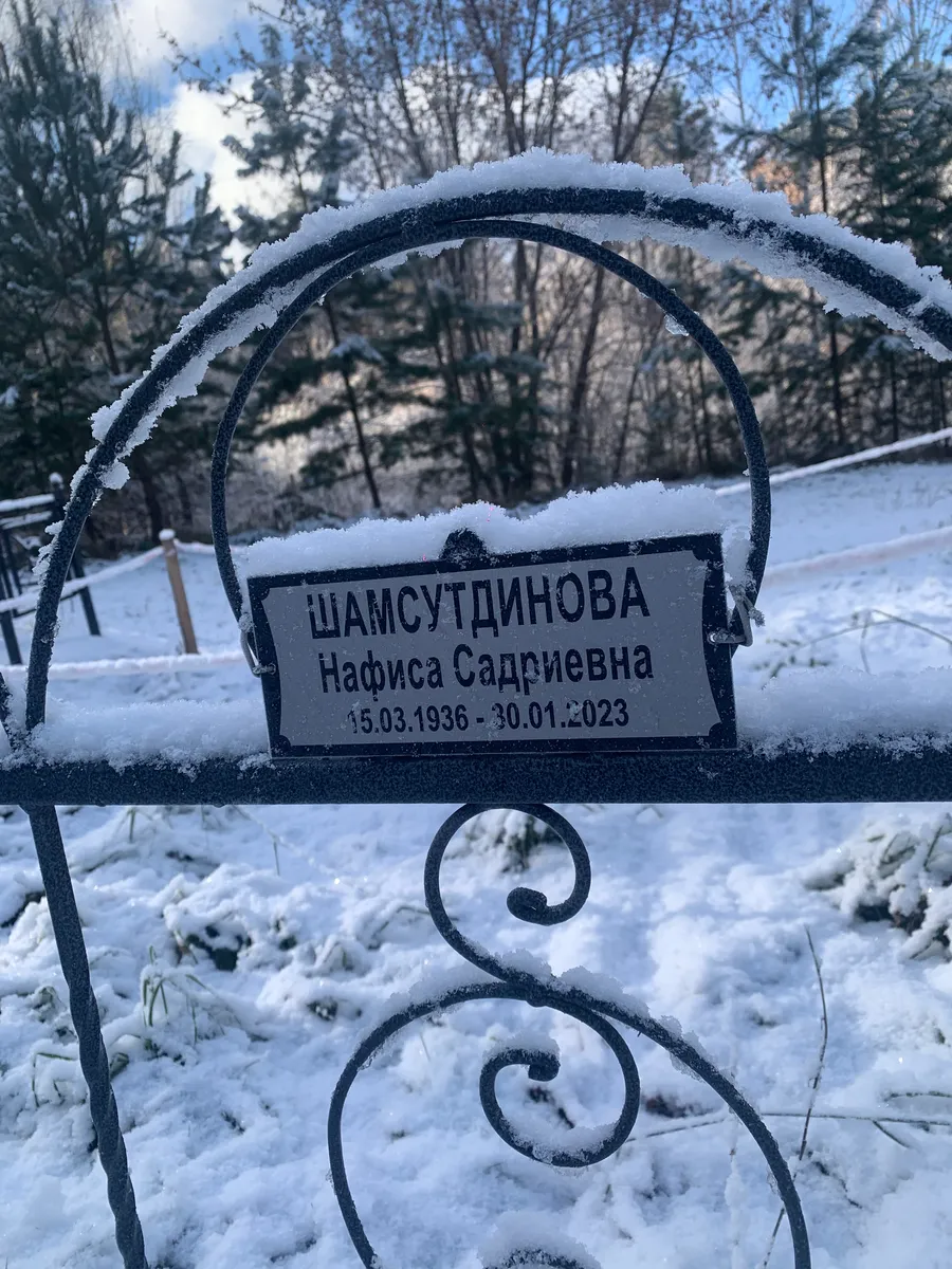 Шамсутдинова Нафиса Садриевна