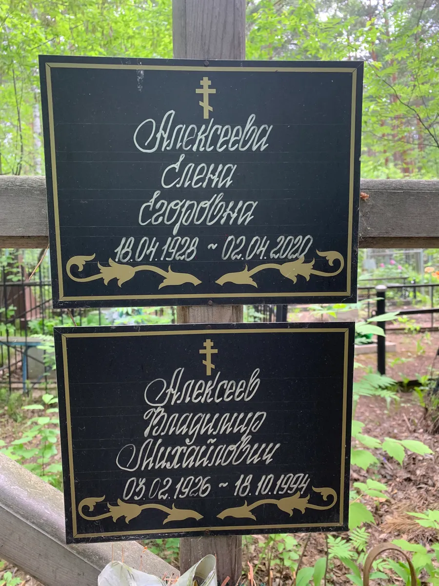 Алексеев Владимир Дмитриевич