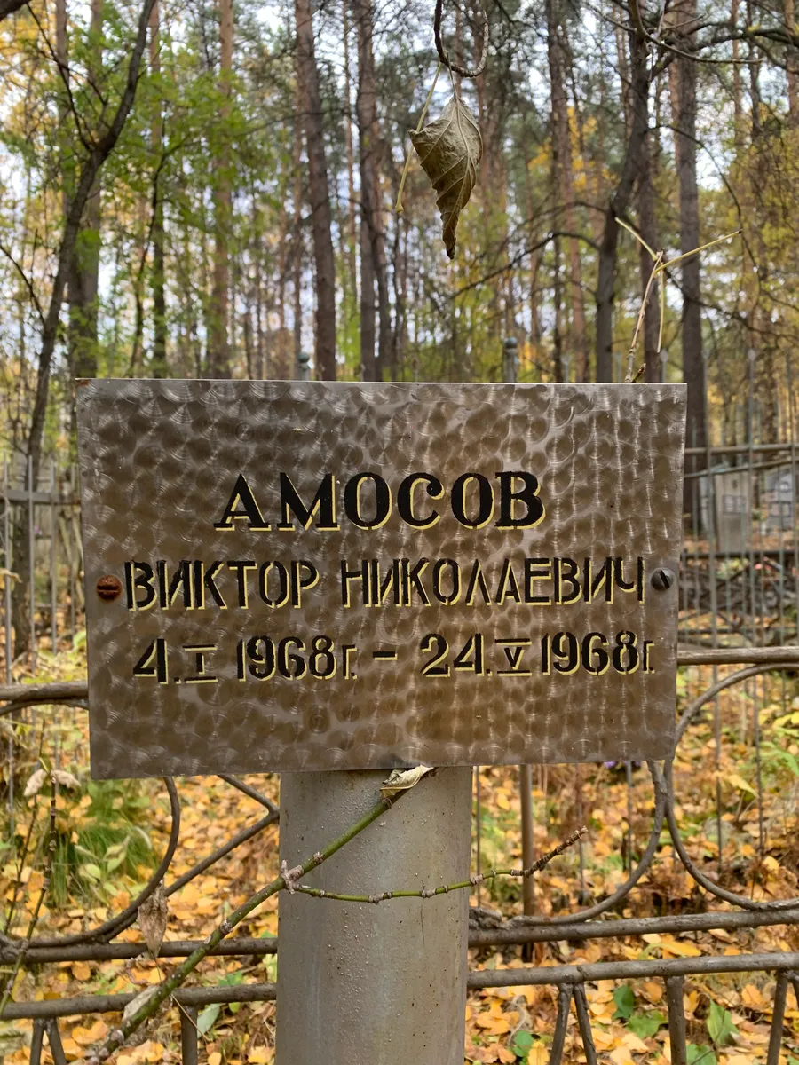 Амосов Виктор Николаевич