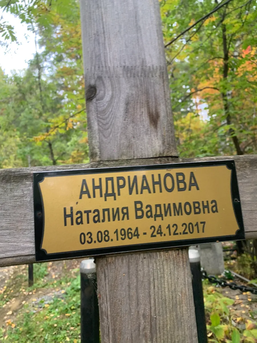 Андрианова Наталия Вадимовна