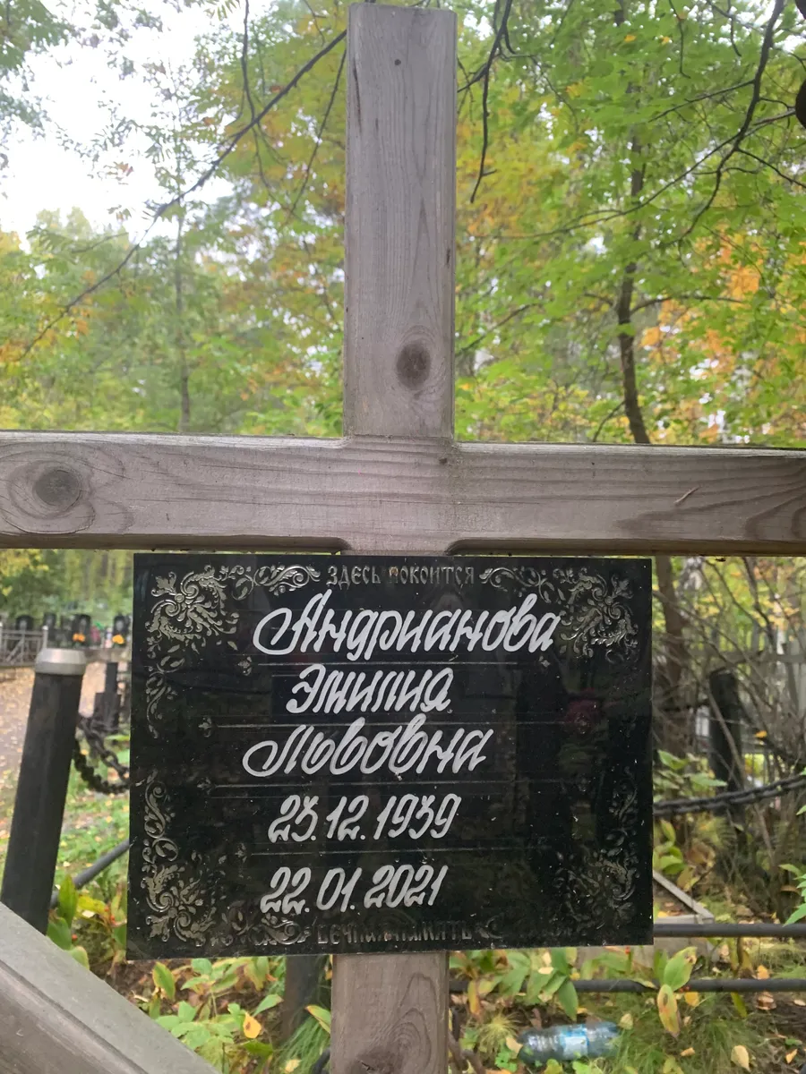 Андронникова Эмилия Любовна