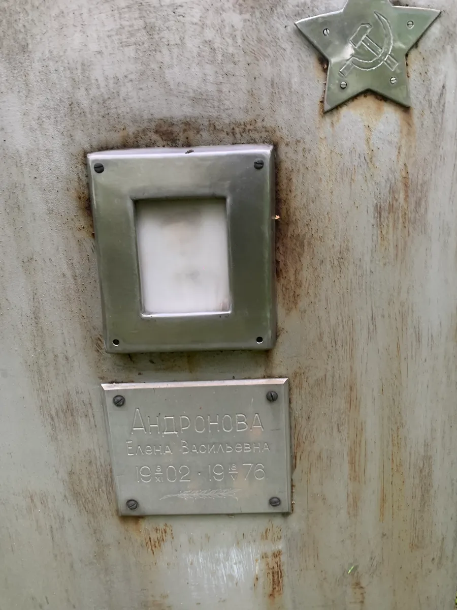 Андронова Елена Васильевна