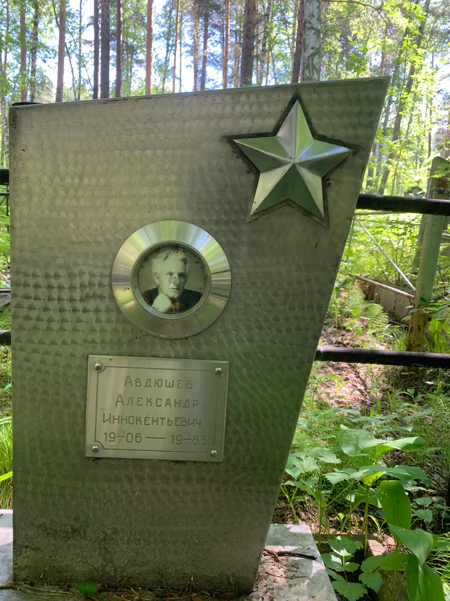 Авдюшев Александр Иннокентьевич