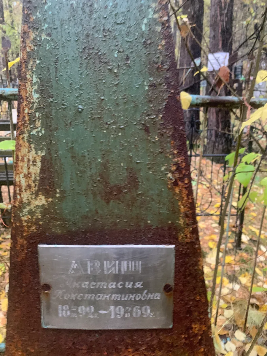 Авиций Анастасия Константиновна