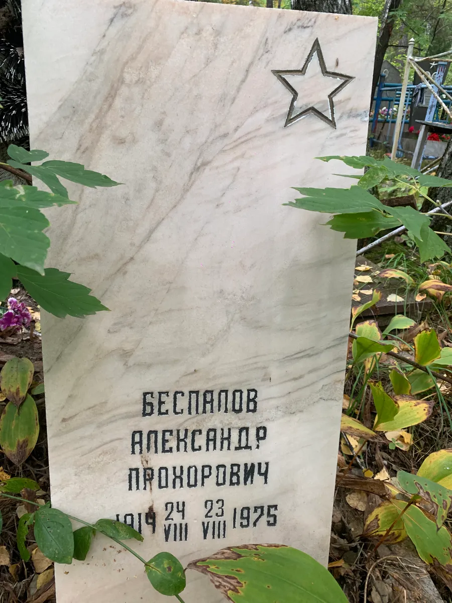 Бесплавов Александр Прохорович