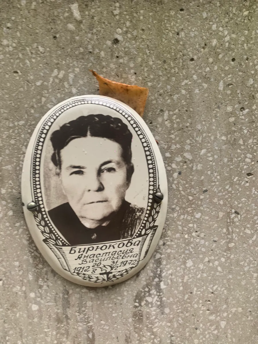 Бирюкова Анастасия Васильевна