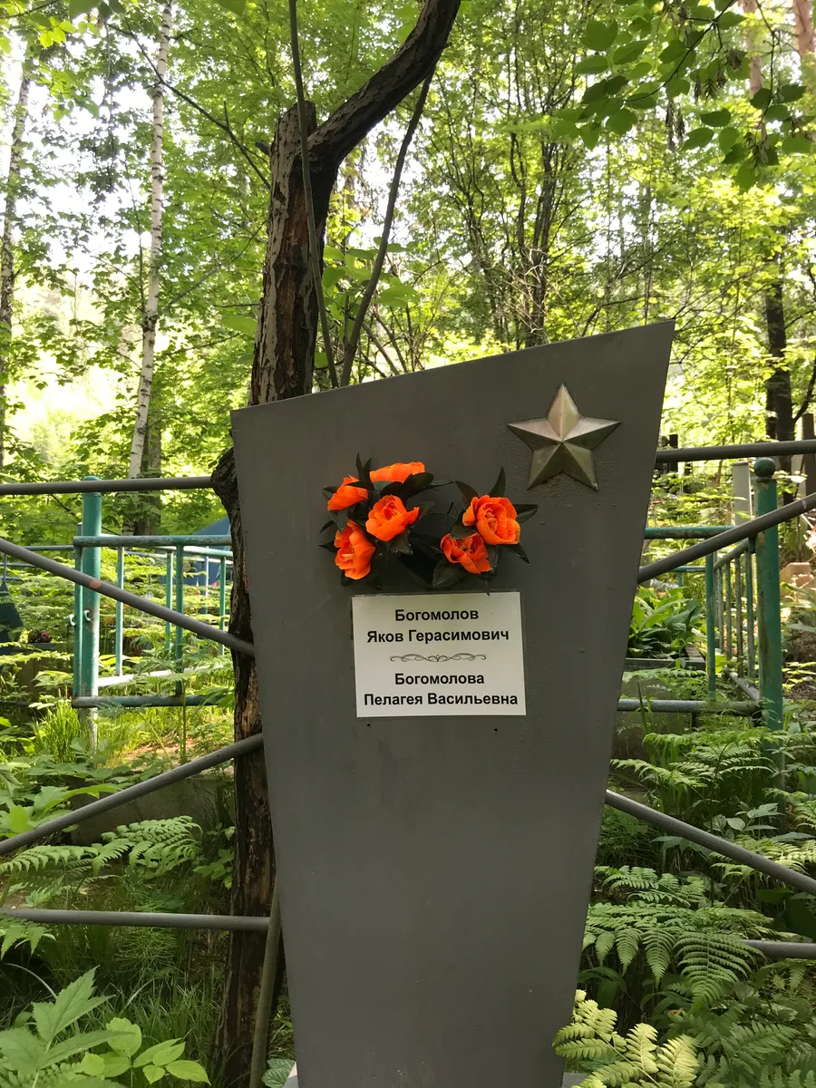 Богомолова Пелагея Васильевна