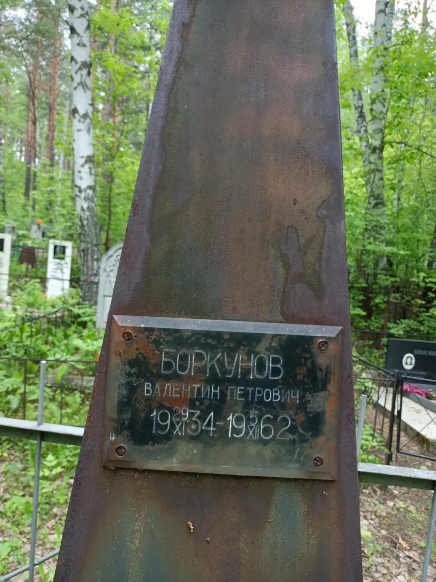 Боркунов Валентин Петрович