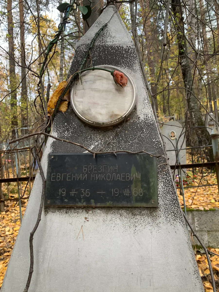 Брезгин Евгений Николаевич