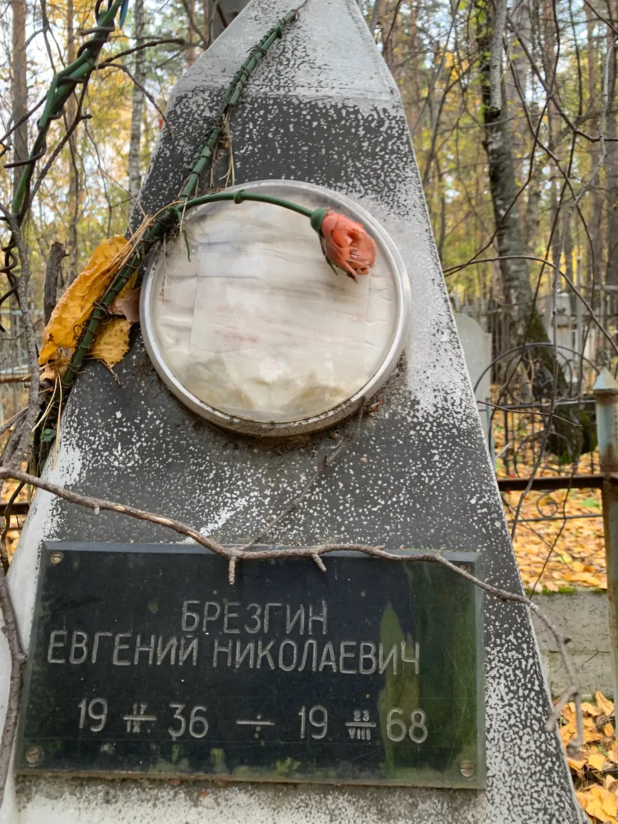 Брезгин Евгений Николаевич