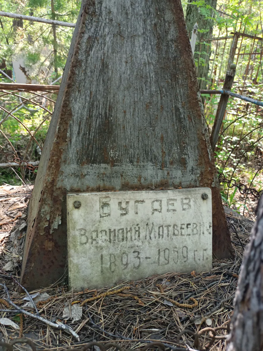 Бугаев Василий Матвеевич