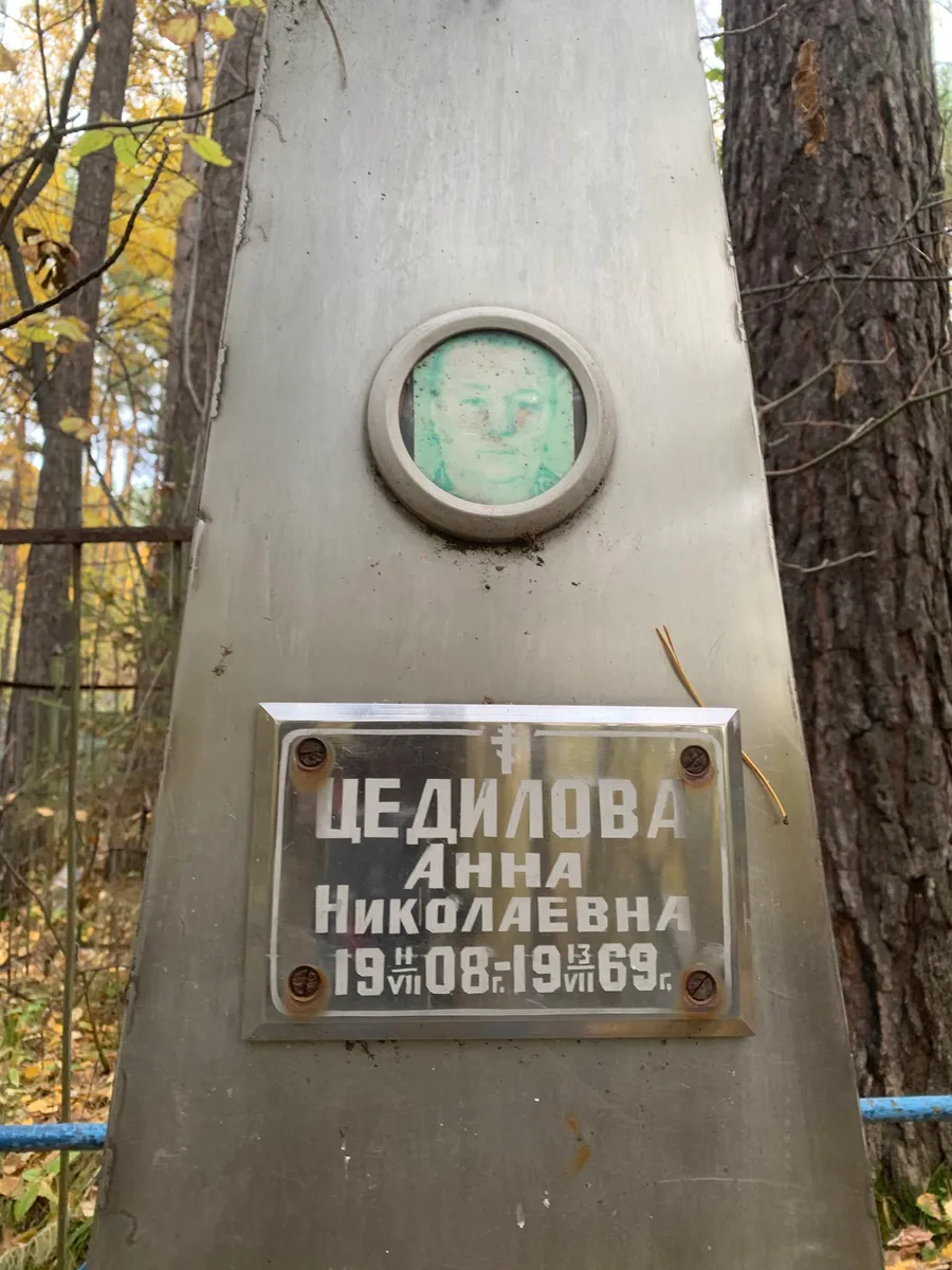 Цедилова Анна Николаевна