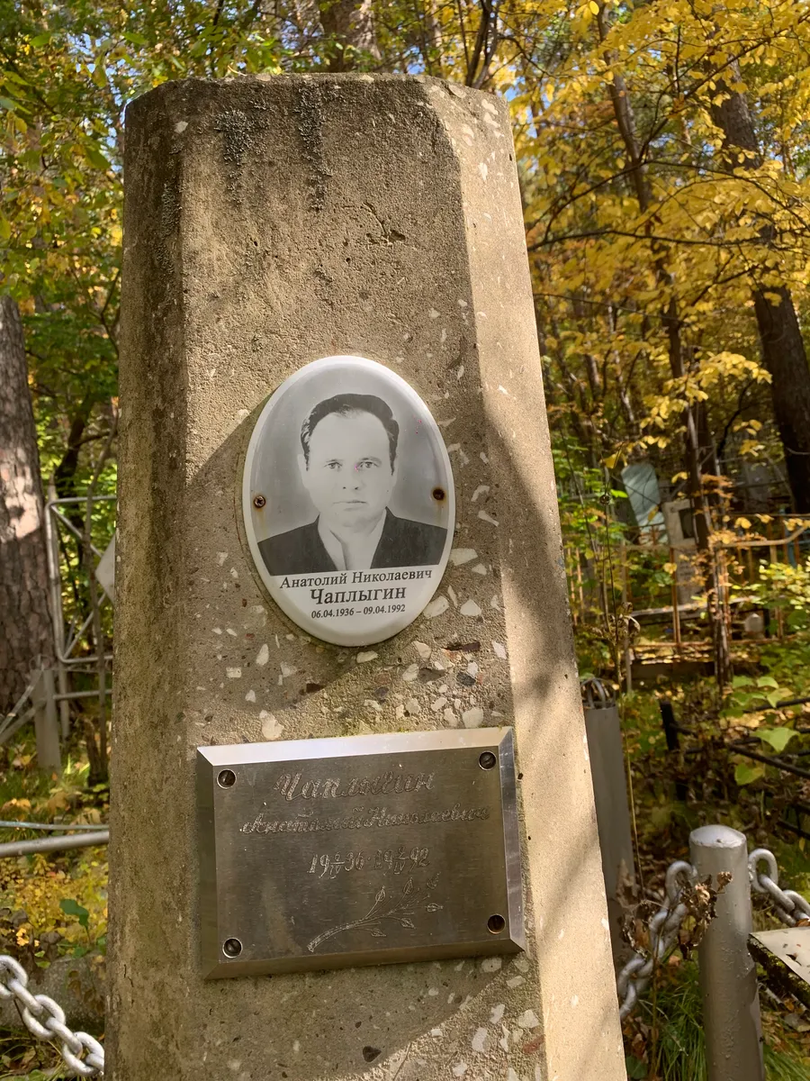 Чаплыгин Анатолий Николаевич