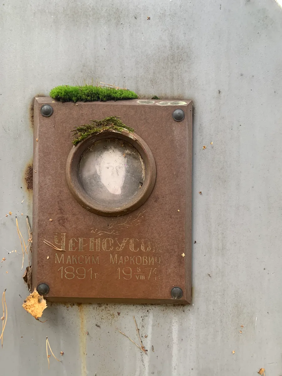 Чернецский Максим маркович