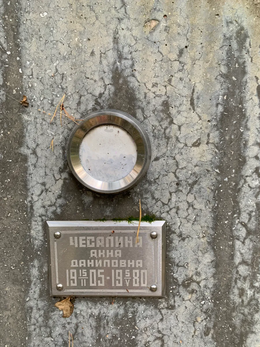 Чесанина Анна Даниповна