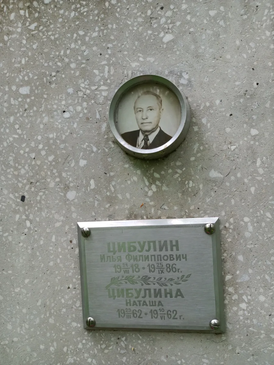 Цибулина Наташа