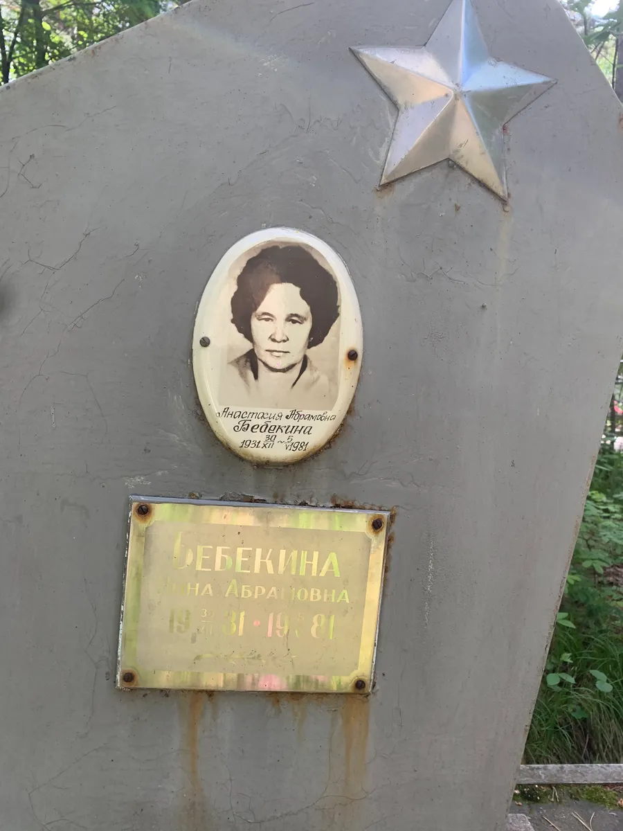 Дебекина Анастасия Ярославна