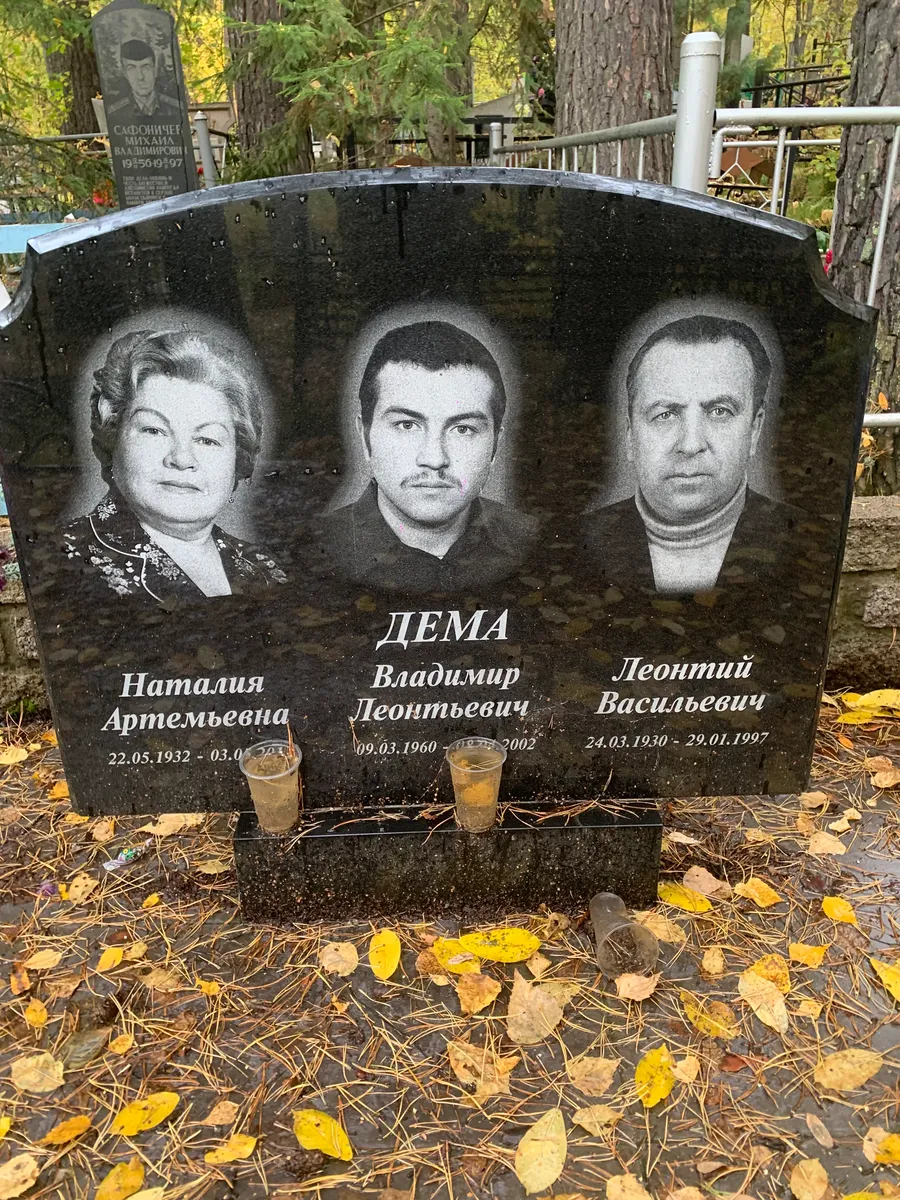 Дема Владимир Леонтьевич