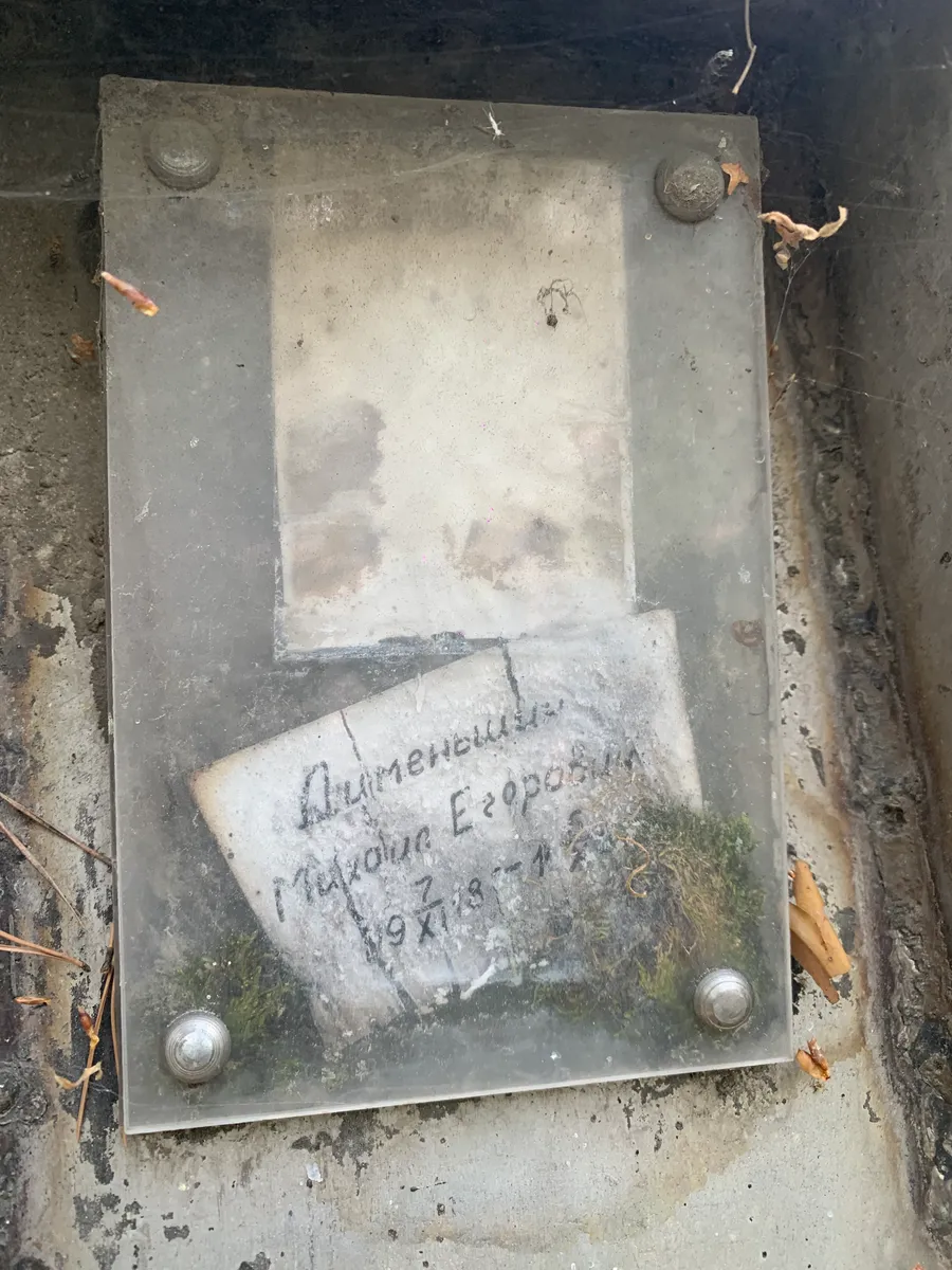 Дименштейн Михаил Егорович