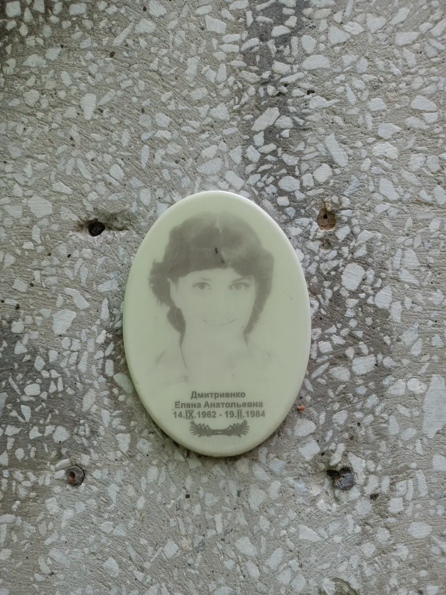 Дмитриенко Елена Анатольевна