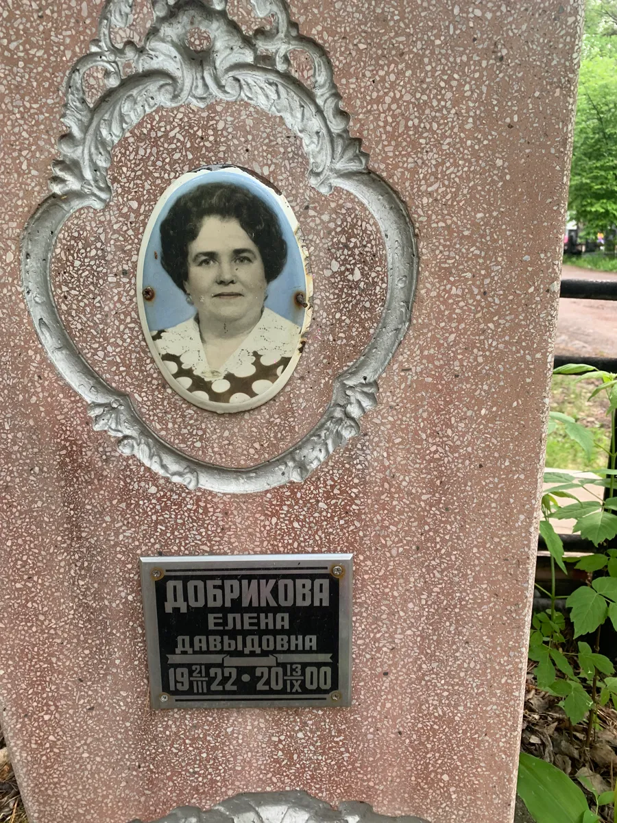 Добрикова Елена Давыдовна