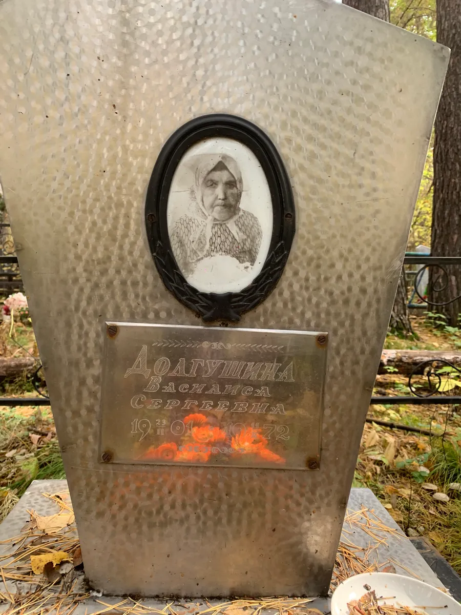 Долгушина Василиса Сергеевна