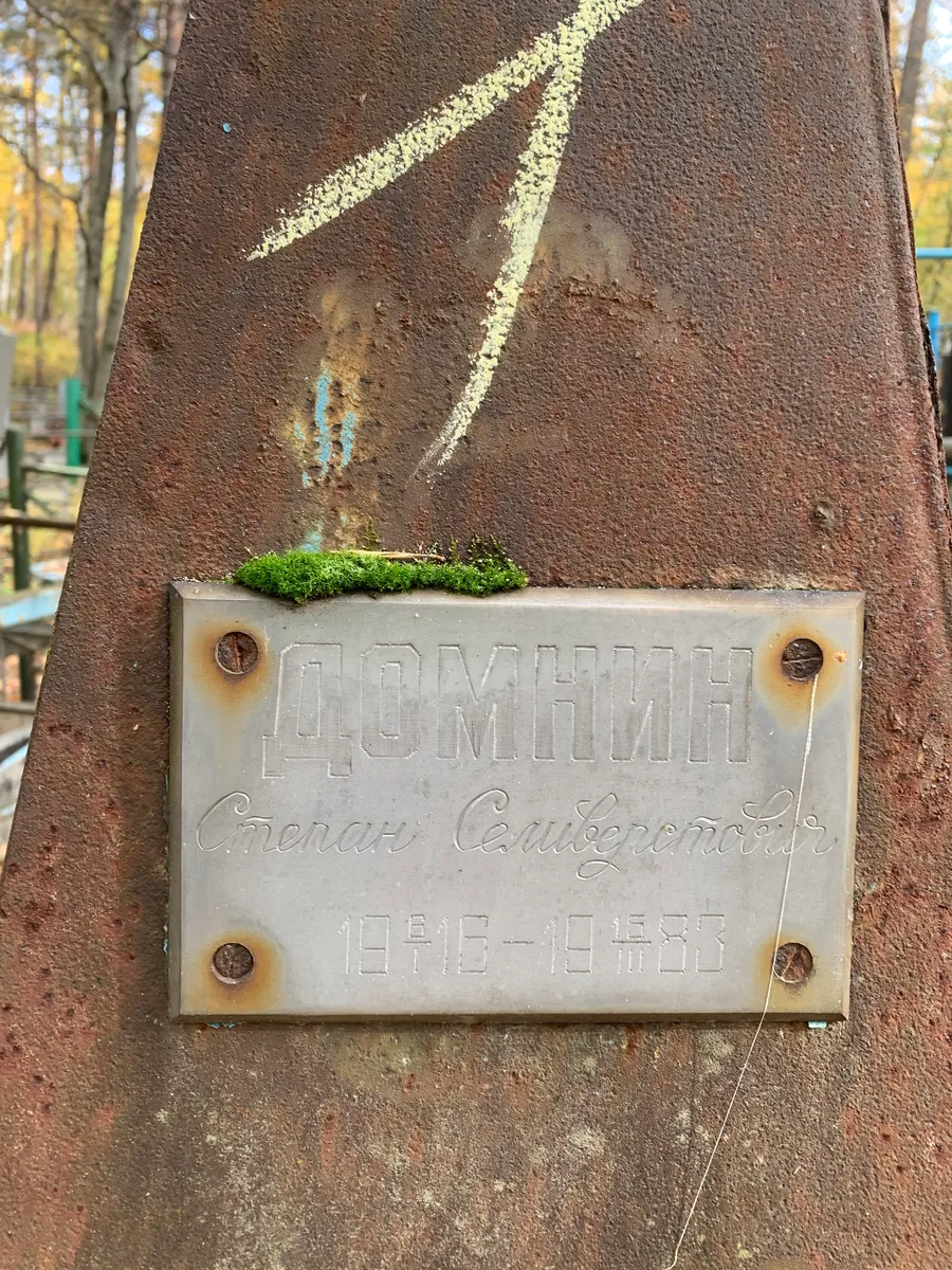 Домнин Степан Сергеевич