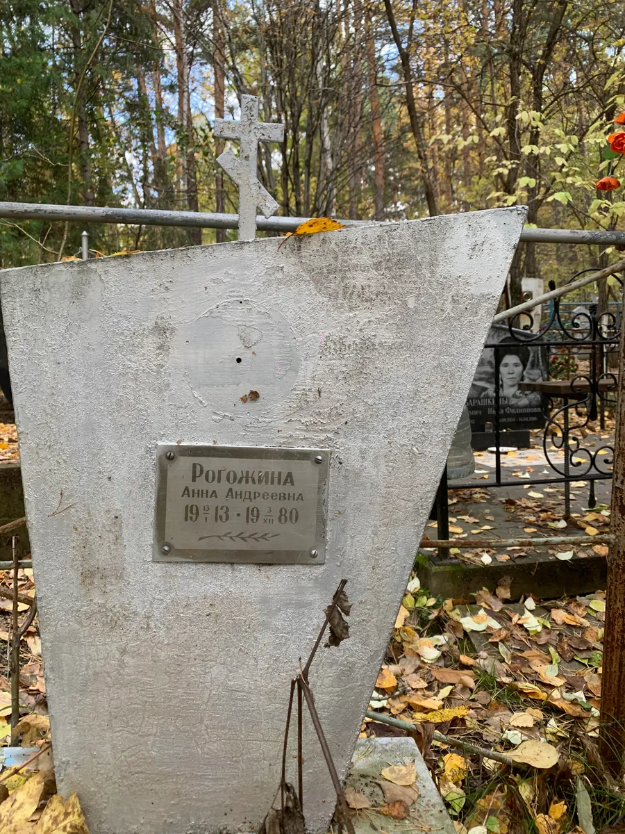 Дорожина Анна Андреевна