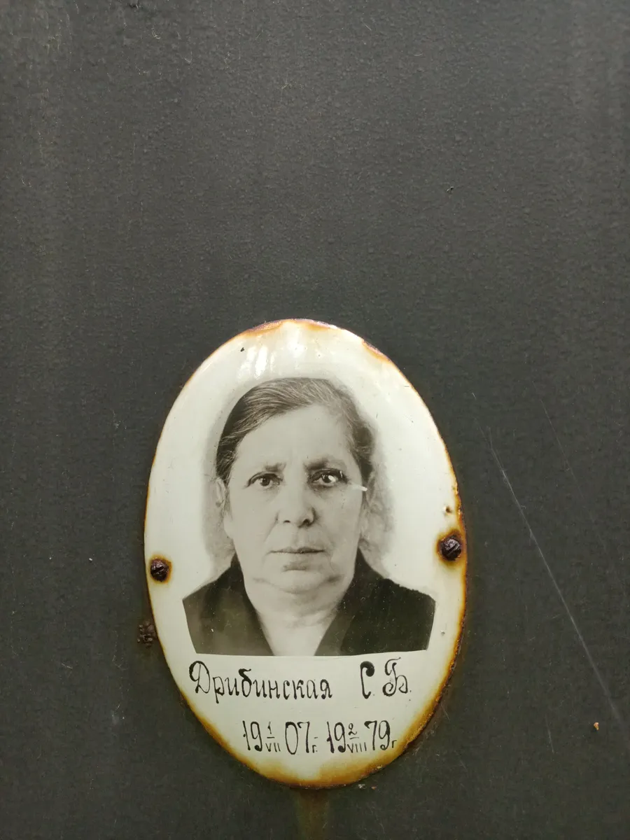 Дрибинская С.б.