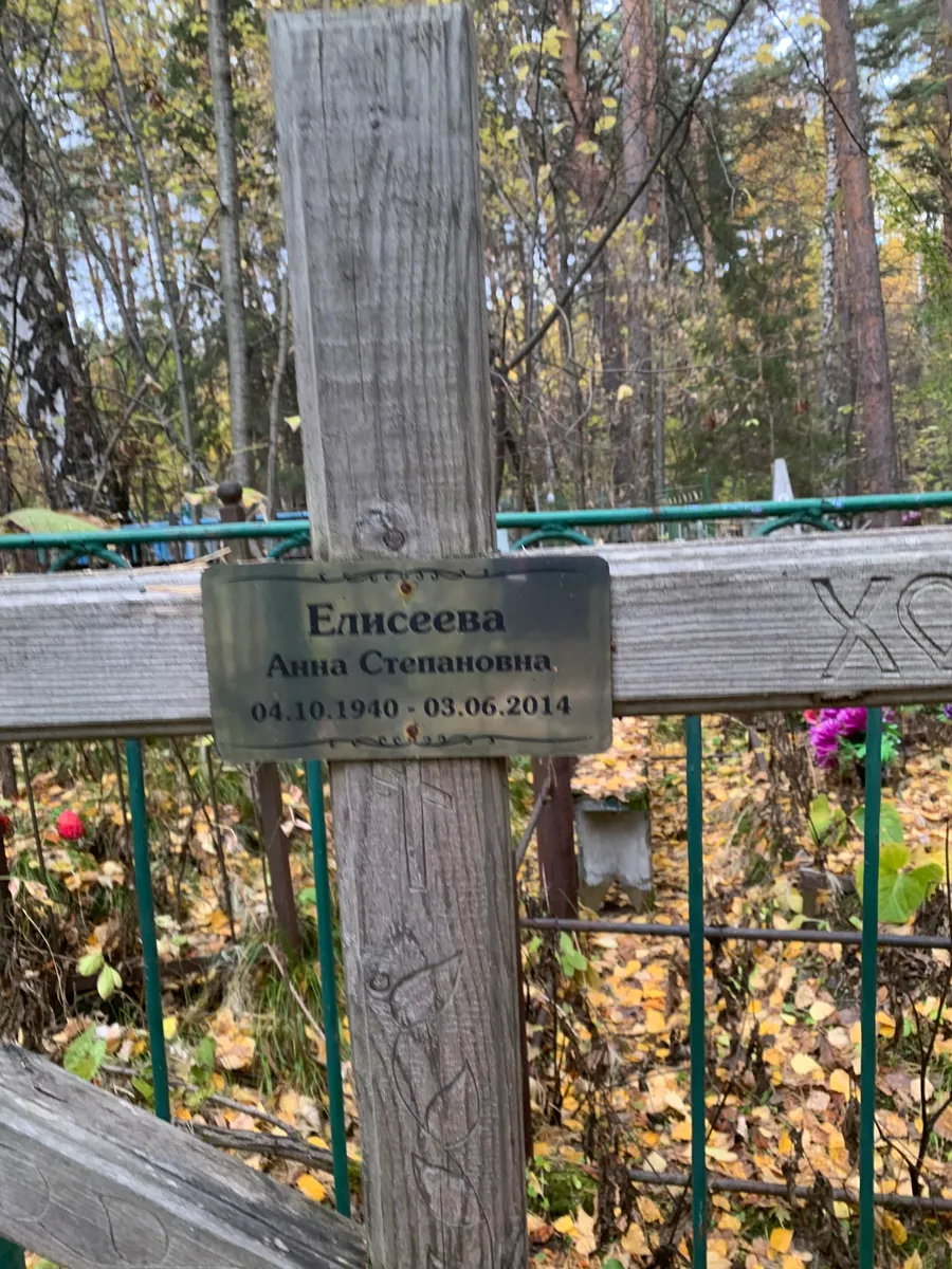 Елисеева Анна Степановна