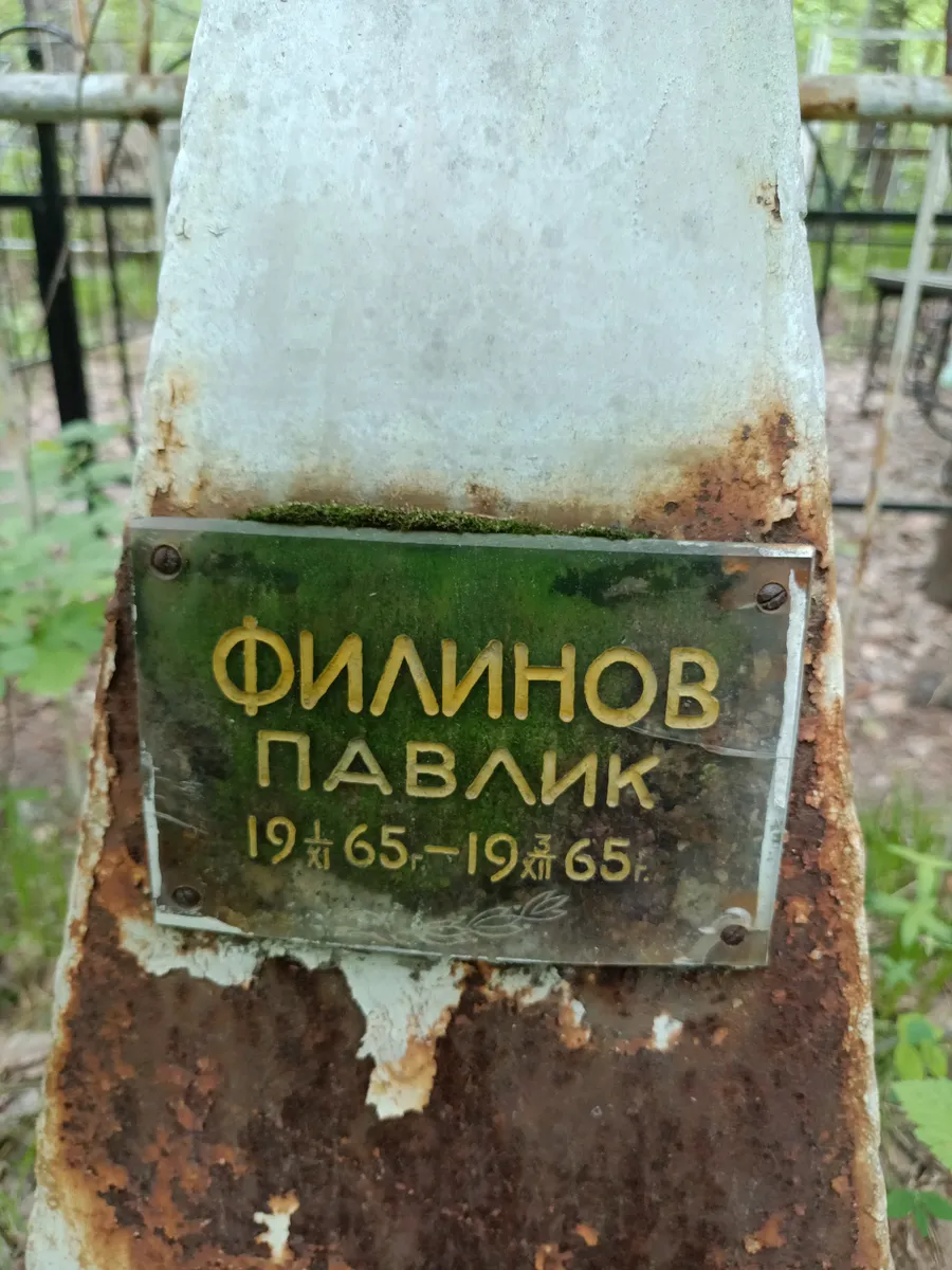 Филинов Павлик