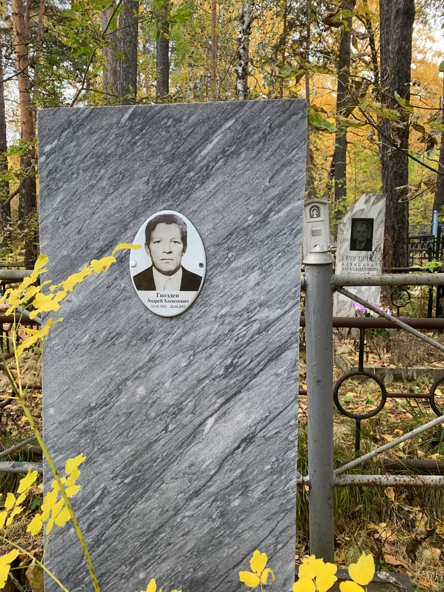 Гиоздев Андрей Алексеевич