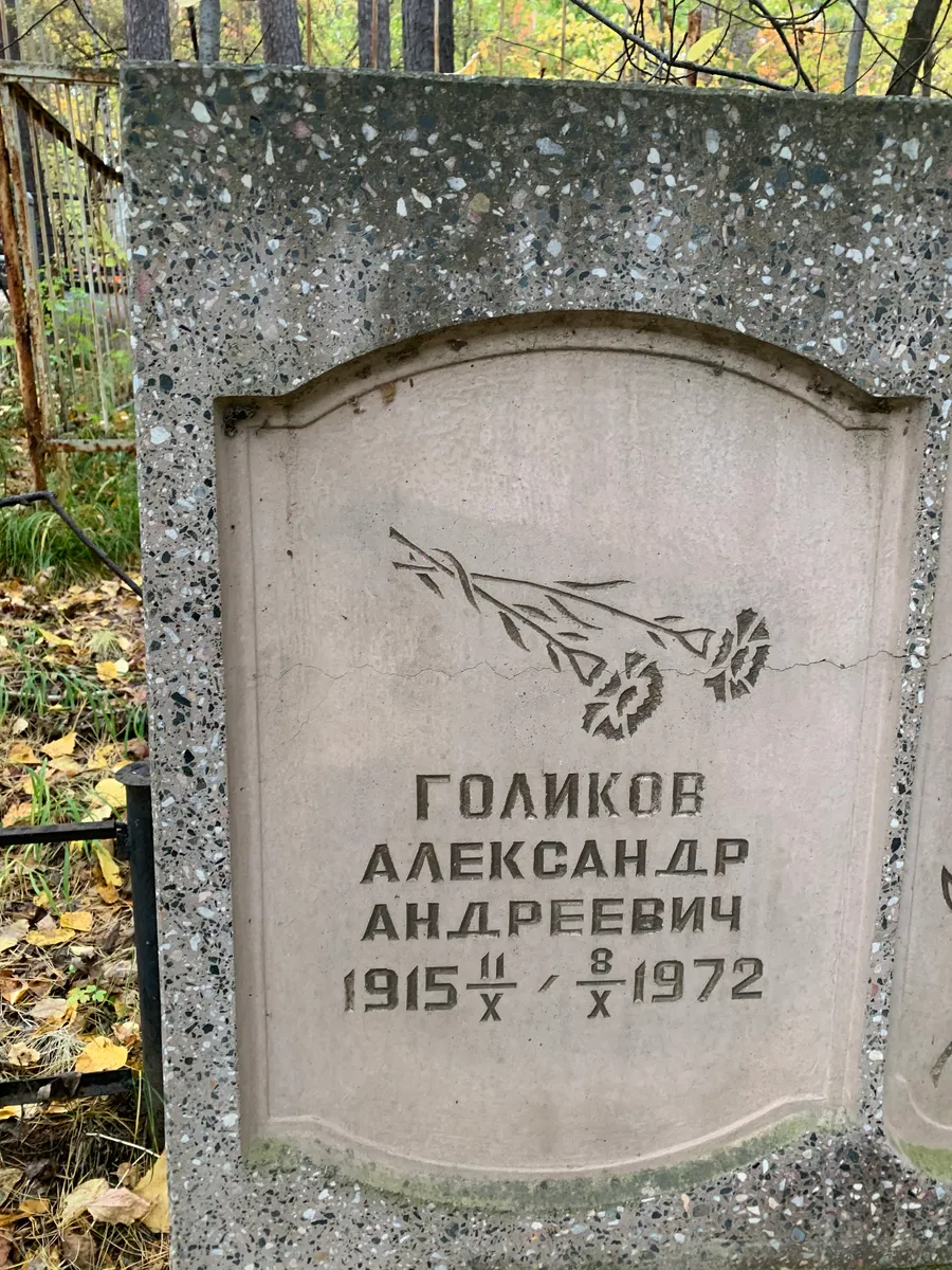 Голиков Александр Андреевич