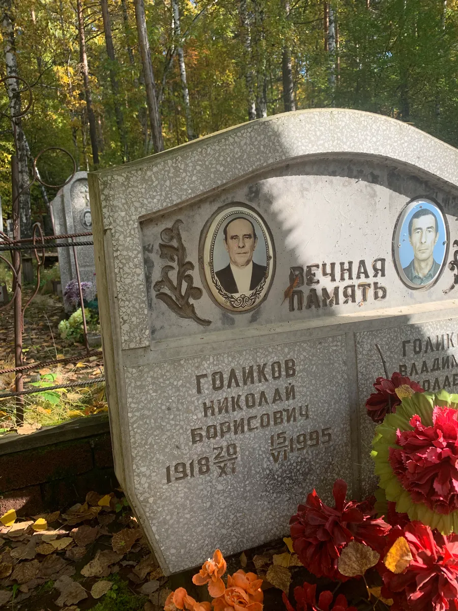 Голиков Николай Борисович