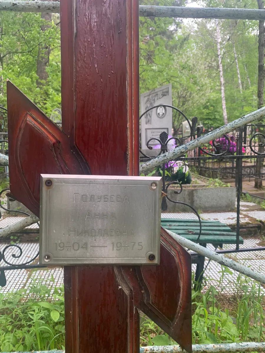 Голубева Анна Николаевна