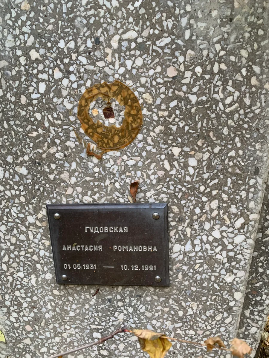 Гудовская Анастасия Романовна