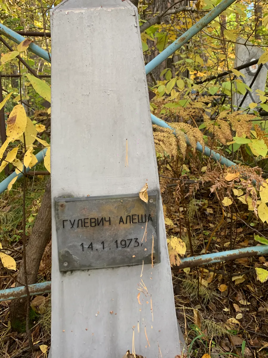 Гулевич Алеша