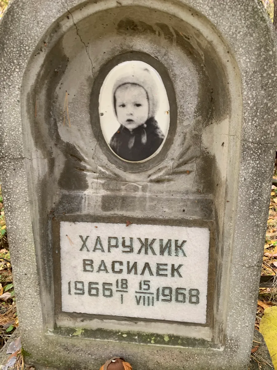 Харчужик Василек