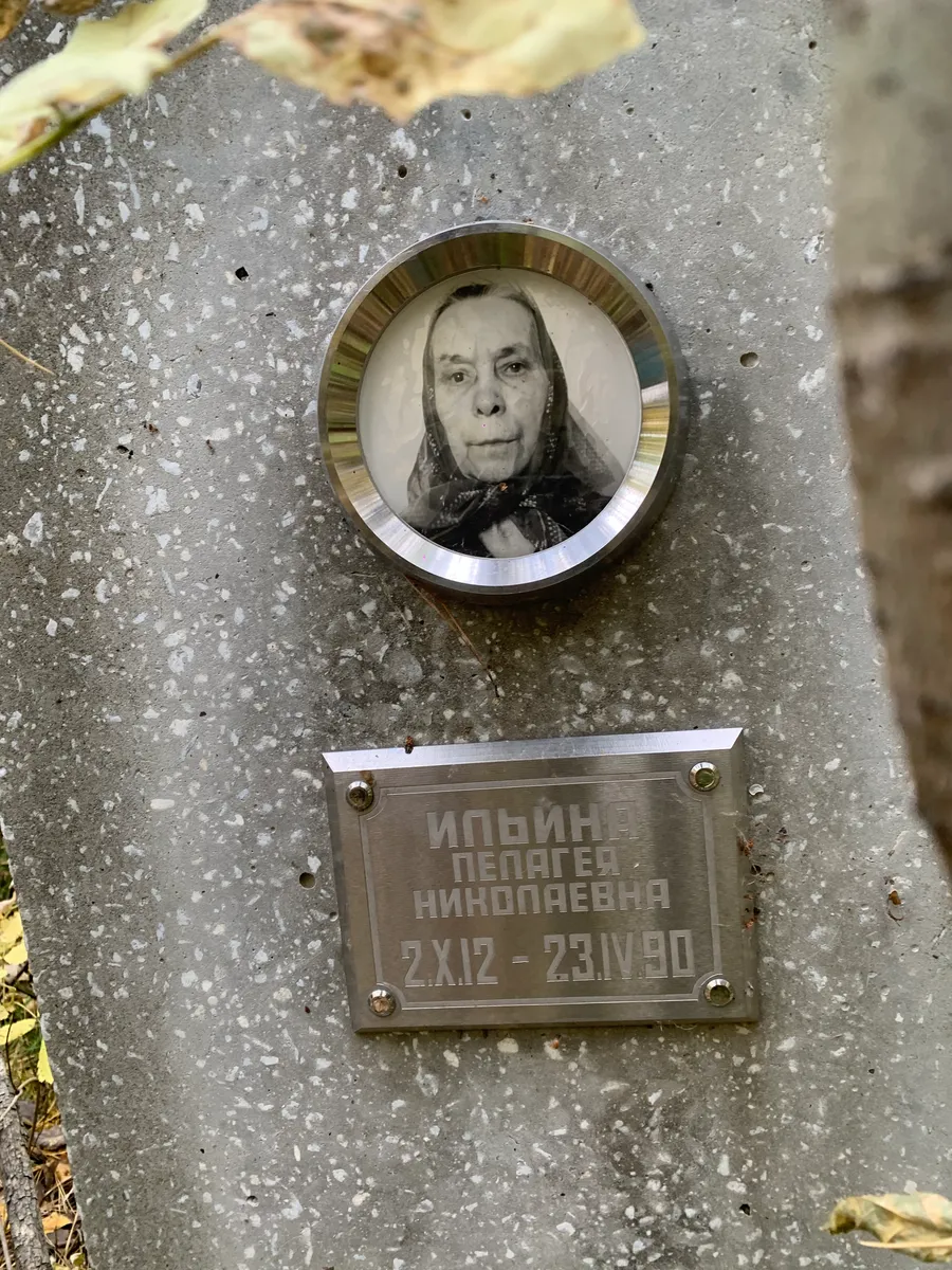 Ильин Пелагей Николаевна