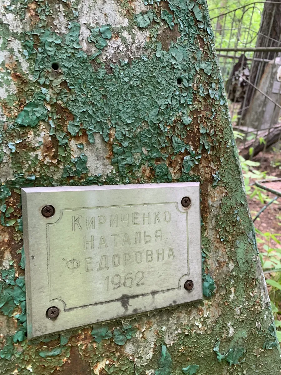 Кириченко Наталья Федоровна