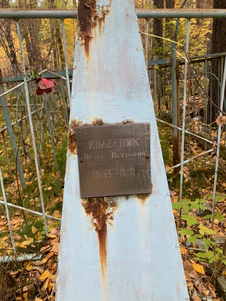 Коллесниик Игорь Петрович