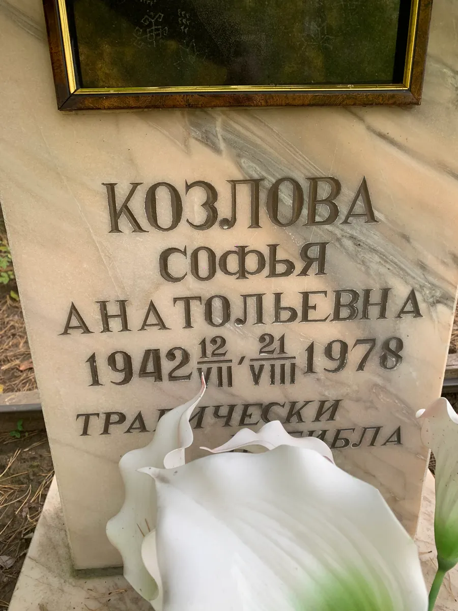 Козлова София Анатольевна