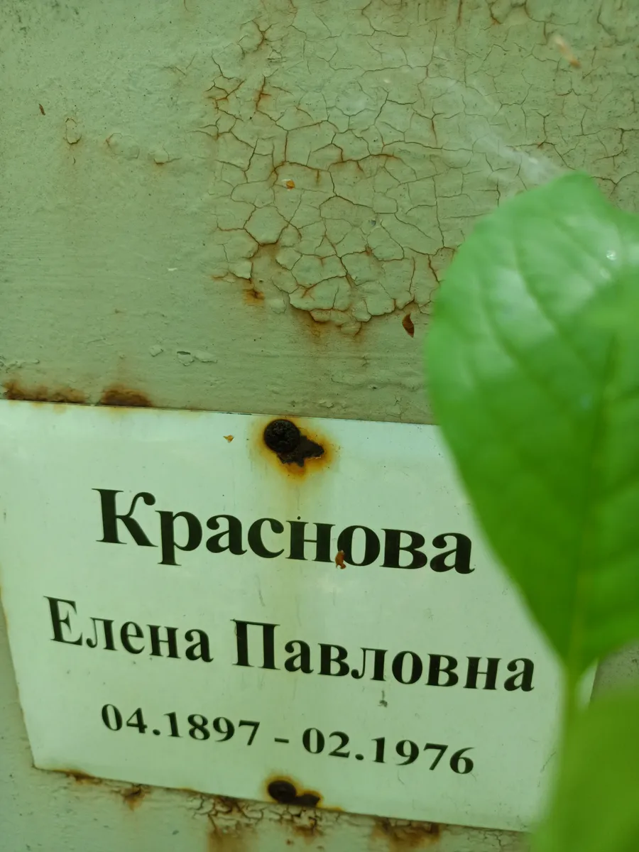 Краснова Елена Павловна