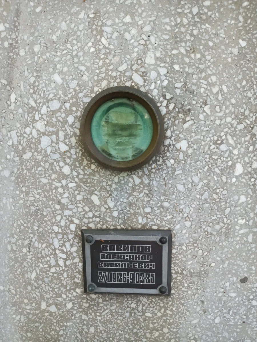 Кривцов Александр Кнельевич