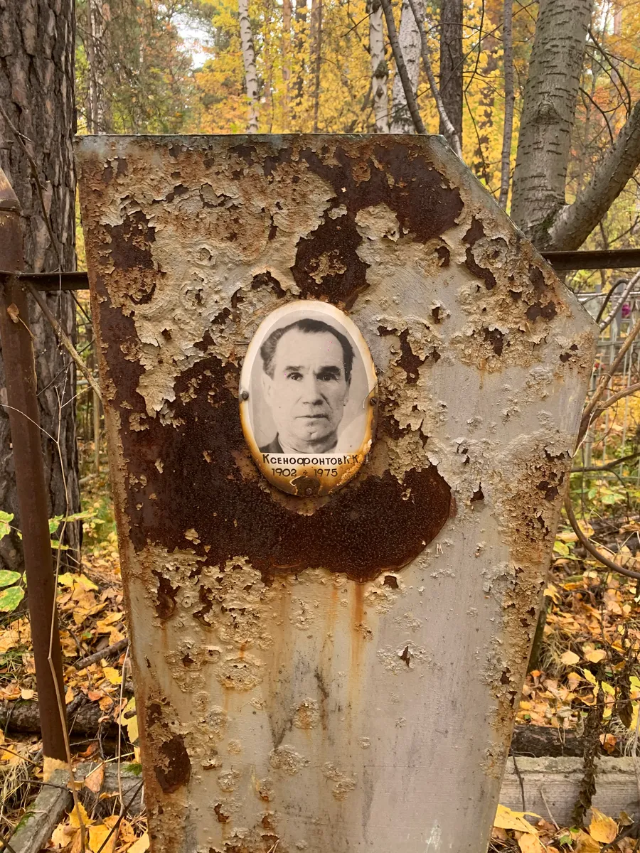 Ксеносфонтов