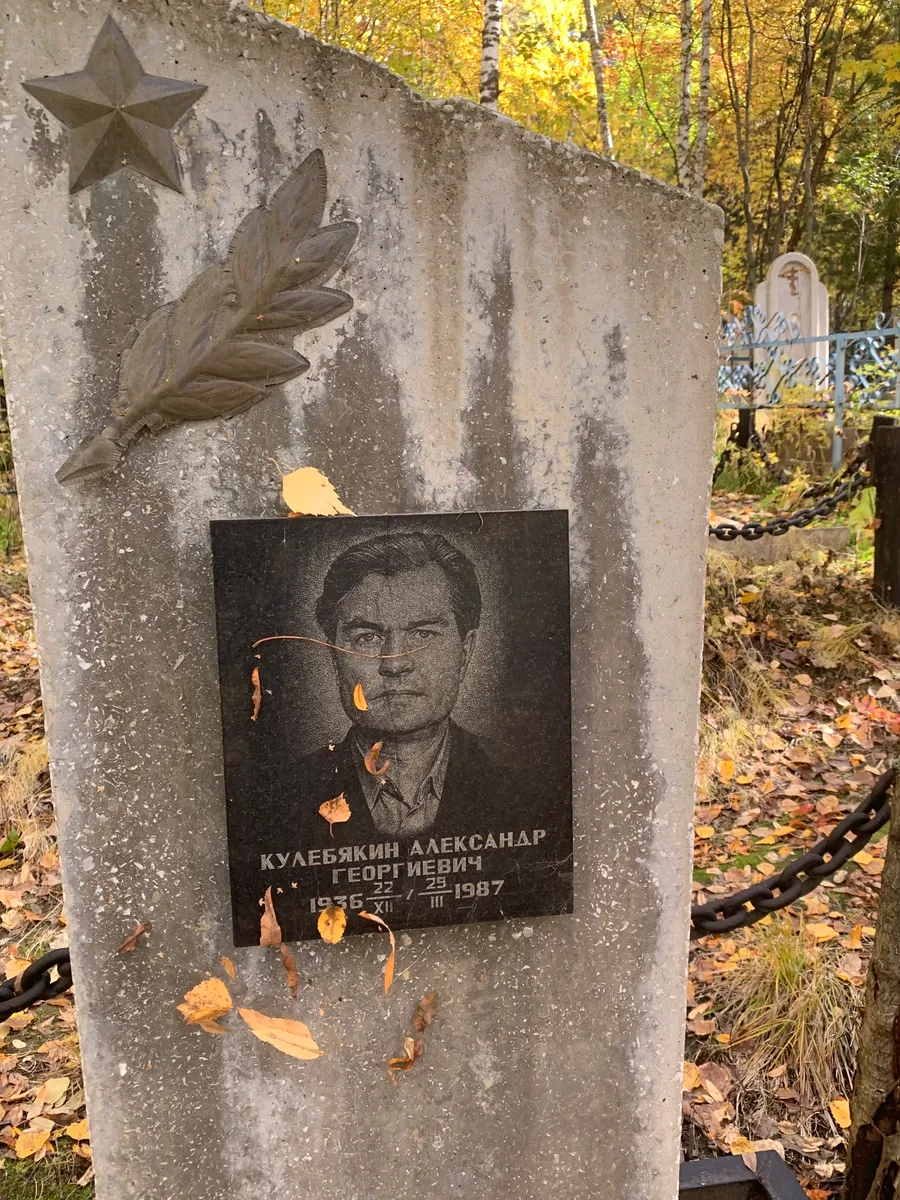 Кулебякин Александр Георгиевич