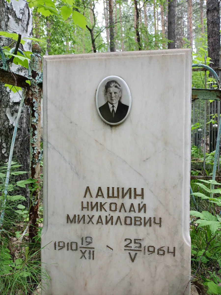 Лашин Николай Михайлович