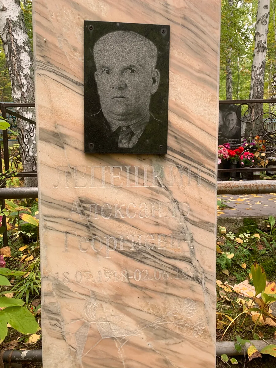 Лещенко Александр Георгиевич