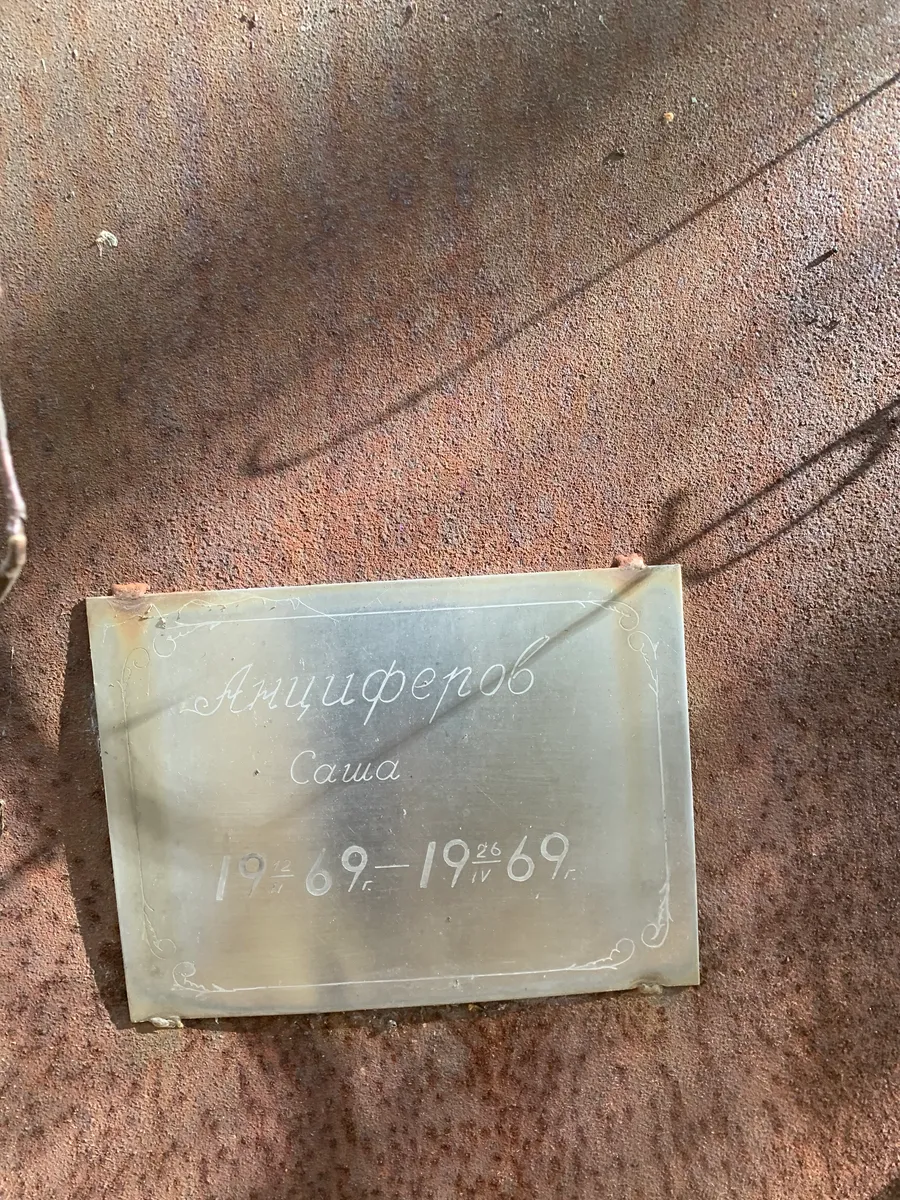 Лицифиренов Саша