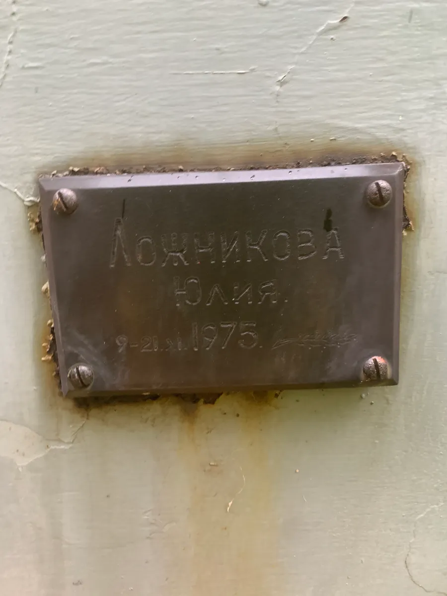 Лохницкова Юлия